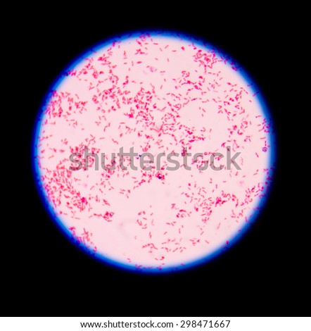 Gram-positive Stock Photos, Images, & Pictures | Shutterstock