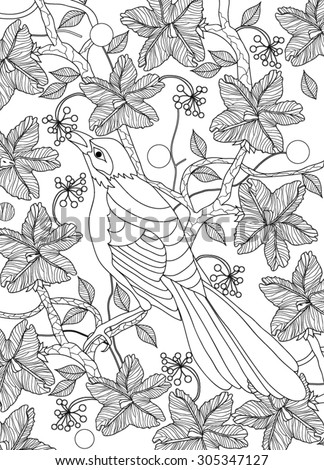 hand drawn bird coloring page - stock vector