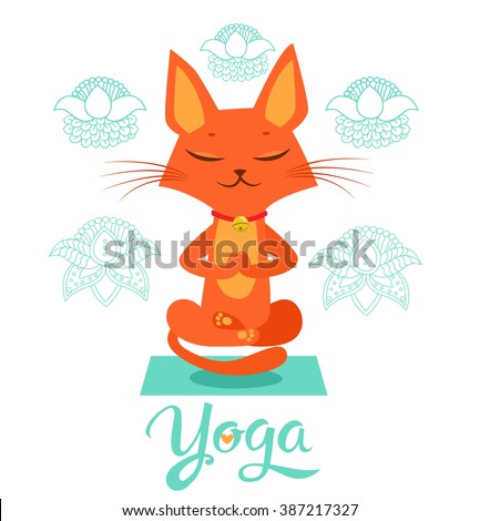 Yoga Cat Stock Photos, Images, & Pictures | Shutterstock