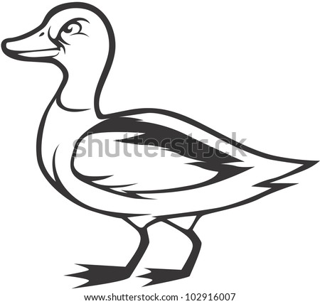 Duck head Stock Photos, Images, & Pictures | Shutterstock