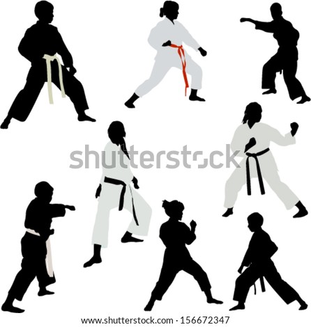 Martial Arts Silhouette Stock Photos, Images, & Pictures | Shutterstock