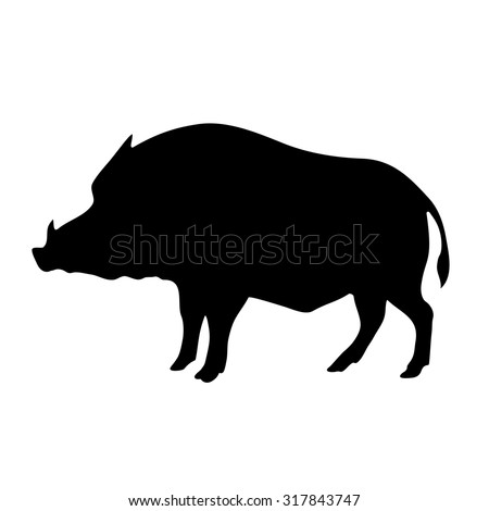 Boar Stock Photos, Images, & Pictures | Shutterstock