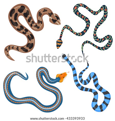 Snake Silhouette Stock Photos, Images, & Pictures | Shutterstock