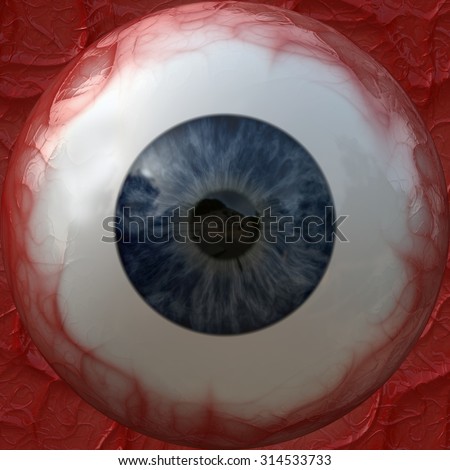 Eyeball Stock Photos, Images, & Pictures | Shutterstock