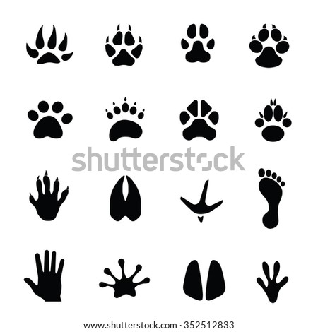 Cow Footprint Stock Photos, Images, & Pictures | Shutterstock