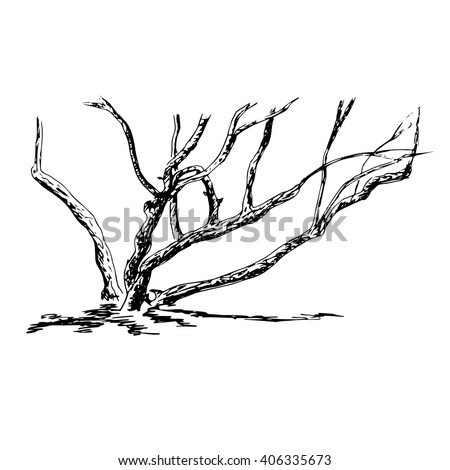 Twisted Tree Trunk Stock Illustrations & Cartoons | Shutterstock