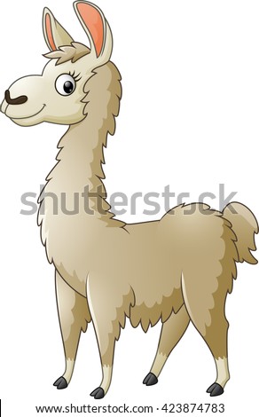 Llama Isolated Stock Photos, Images, & Pictures | Shutterstock