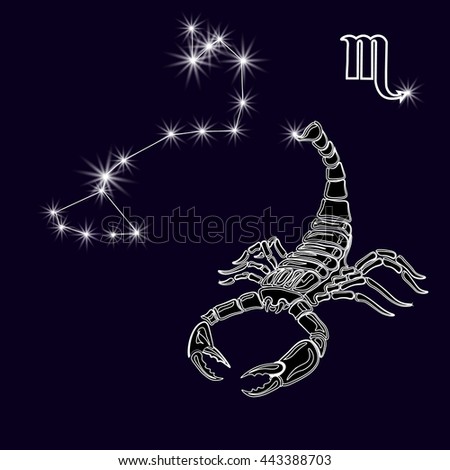 Tattoo Zodiac Scorpion Stock Photos, Images, & Pictures | Shutterstock