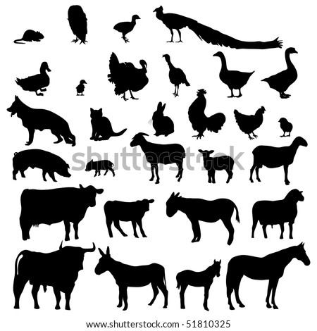 Animal shadow Stock Photos, Images, & Pictures | Shutterstock