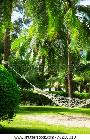 Between Hammock Hanging Palm Trees Stock Photos, Images, & Pictures ...