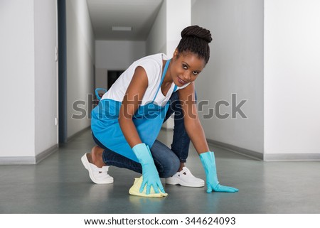 Woman Cleaning Stock Photos, Images, & Pictures | Shutterstock