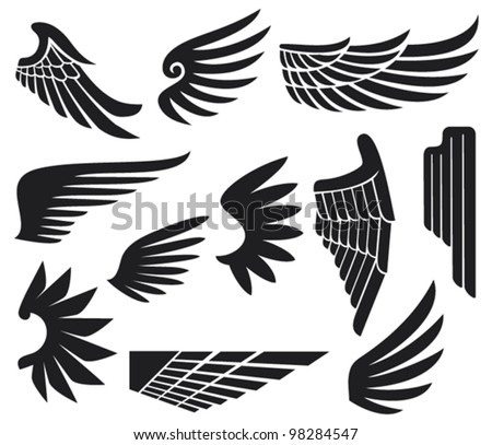 Bird Wings Stock Photos, Images, & Pictures | Shutterstock