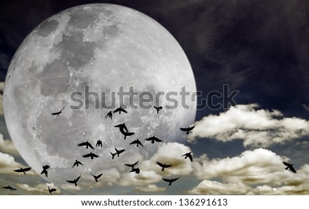 https://thumb101.shutterstock.com/display_pic_with_logo/563683/136291613/stock-photo-flock-of-silhouette-birds-migrating-across-a-large-full-moon-on-a-dreamy-night-sky-elements-of-136291613.jpg
