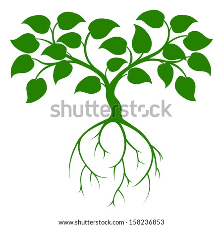 Plant Roots Stock Photos, Images, & Pictures | Shutterstock