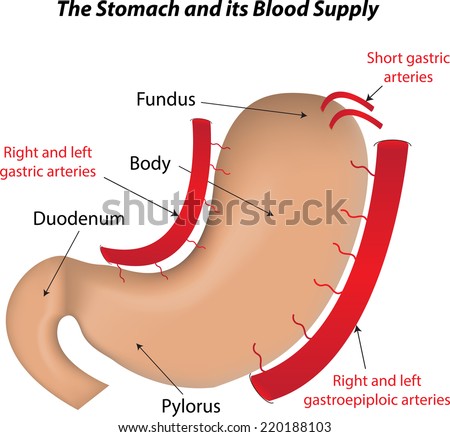 Blood-and-guts Stock Photos, Images, & Pictures | Shutterstock