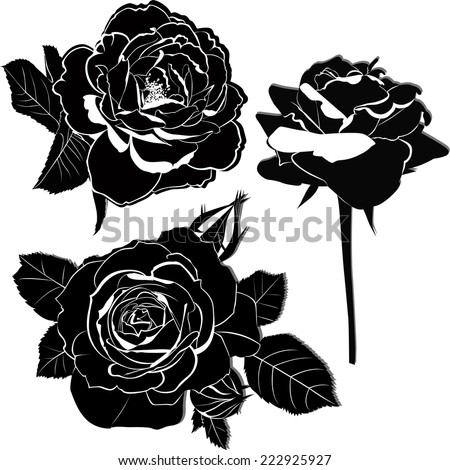 Bud Rose Tattoo Stock Photos, Images, & Pictures | Shutterstock