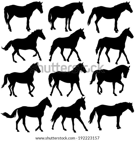 Horse Silhouette Stock Photos, Images, & Pictures | Shutterstock