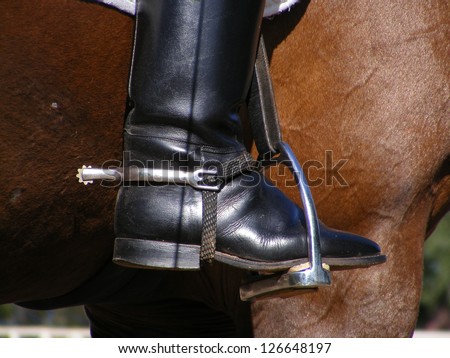 Close up of rider leg with disk spur on it on brown horse - stock photo