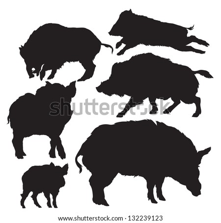 Boar Silhouette Wild Stock Photos, Images, & Pictures | Shutterstock