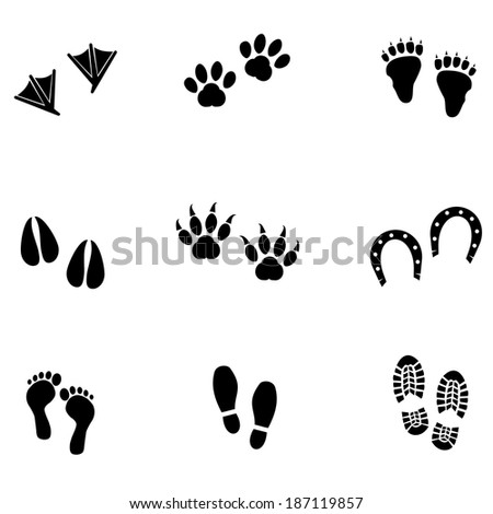 Horse footprints Stock Photos, Images, & Pictures | Shutterstock