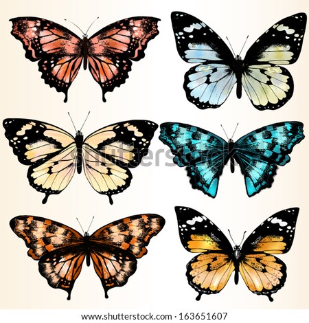 Drawing Butterfly Stock Vectors & Vector Clip Art | Shutterstock