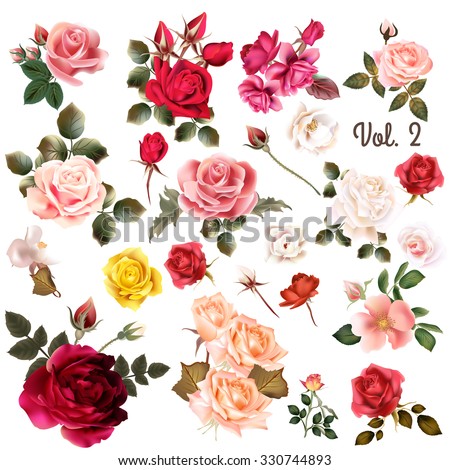 Rose Vector Stock Photos, Images, & Pictures | Shutterstock