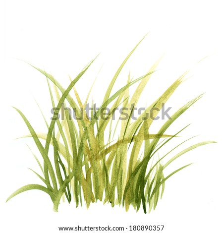 Watercolor Grasses Stock Photos, Images, & Pictures | Shutterstock