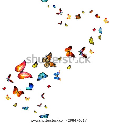 Red butterfly flying Stock Photos, Images, & Pictures | Shutterstock