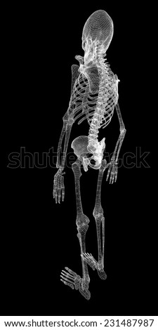 Tailbone Stock Photos, Images, & Pictures | Shutterstock