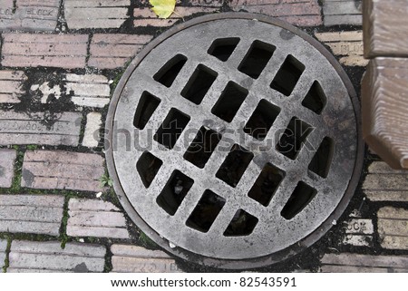 http://thumb101.shutterstock.com/display_pic_with_logo/92406/92406,1312979968,3/stock-photo-a-drain-cover-in-a-pathway-of-aged-bricks-82543591.jpg