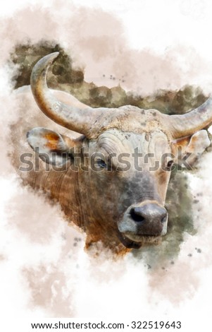 Banteng Stock Photos, Images, & Pictures | Shutterstock