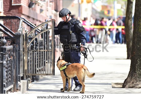 K9 Stock Photos, Images, & Pictures | Shutterstock