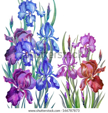 Watercolor blossom Stock Photos, Images, & Pictures | Shutterstock
