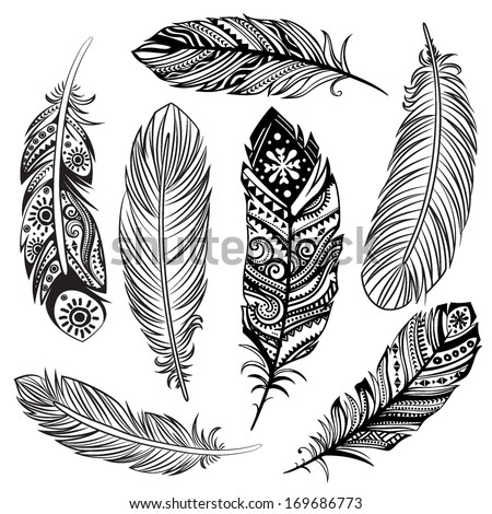 Indian Feather Stock Photos, Images, & Pictures | Shutterstock