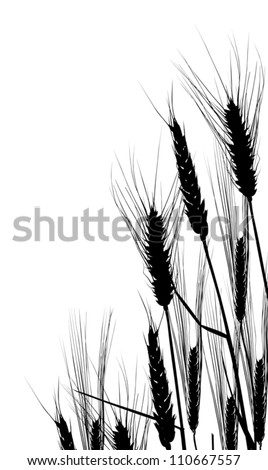 Wheat Grass Silhouette Stock Photos, Images, & Pictures | Shutterstock