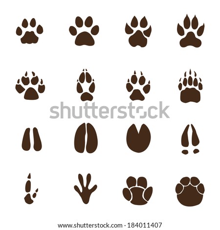 Tiger Paw Stock Photos, Images, & Pictures | Shutterstock