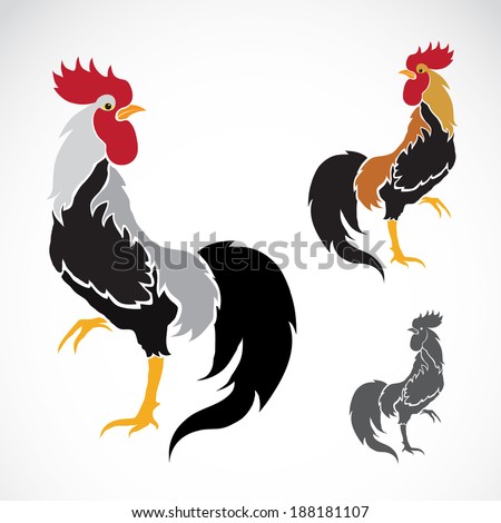 Cockfighting Vector Clip Art Image | Download Free Vector Graphics ...